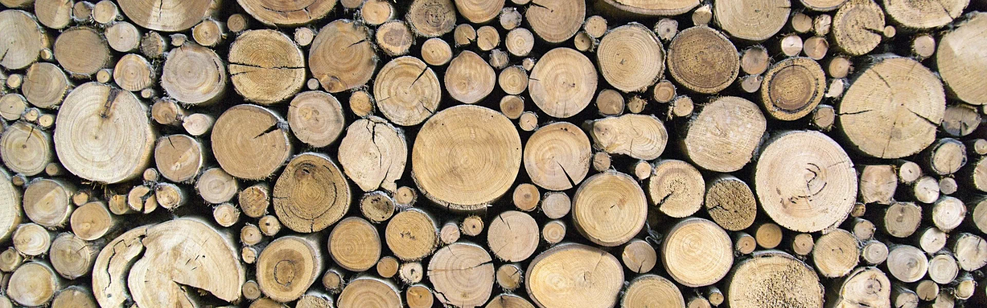 drewno